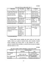 Diplomdarbs 'Grāmatvedības darba organizācija SIA "Centrs"', 19.