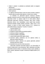 Diplomdarbs 'Grāmatvedības darba organizācija SIA "Centrs"', 25.