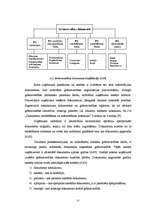 Diplomdarbs 'Grāmatvedības darba organizācija SIA "Centrs"', 26.