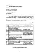 Diplomdarbs 'Grāmatvedības darba organizācija SIA "Centrs"', 31.