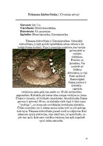 Referāts 'Rāpuļi', 14.