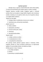 Referāts 'Policijas darbinieku saskarsme ar agresīvi noskaņotiem cilvēkiem', 5.