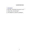 Referāts 'Policijas darbinieku saskarsme ar agresīvi noskaņotiem cilvēkiem', 8.