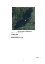Referāts 'Rekreācijas objektu ietekme uz Nirzas ezera ekosistēmu', 25.