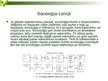 Referāts 'Izglītības socioloģija Latvijā Vladimira Menšikova un Brigitas Zepas skatījumā', 46.
