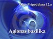 Prezentācija 'Aglonas bazilika', 1.