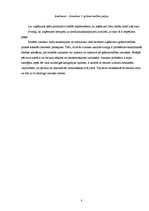 Referāts 'Datortehnoloģijas ekonomikā: izmaksas un izmaksu raksturojums', 8.