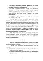 Referāts 'Bērnu agresivitāte pirmsskolas vecumā', 25.