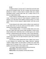 Referāts 'Dāvanu iesaiņošana', 3.