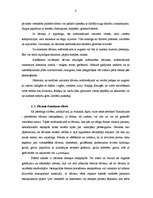 Referāts 'Dāvanu iesaiņošana', 8.