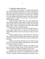 Referāts 'Dāvanu iesaiņošana', 10.