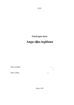 Konspekts 'Augu eļļas ražošana un kā degvielas piedevas izmantošana', 1.