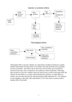 Konspekts 'Augu eļļas ražošana un kā degvielas piedevas izmantošana', 7.