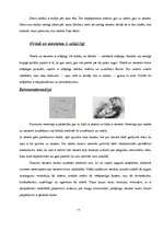 Referāts 'Sieviete un vīrietis', 3.