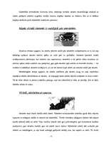 Referāts 'Sieviete un vīrietis', 4.