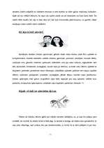 Referāts 'Sieviete un vīrietis', 5.