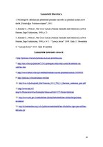 Referāts 'Politiskā kultūra Latvijā', 16.