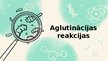 Prezentācija 'Aglutinācijas reakcijas', 10.