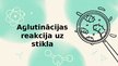 Prezentācija 'Aglutinācijas reakcijas', 12.