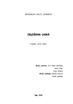 Referāts 'Ceļošana laikā', 1.