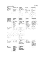 Biznesa plāns 'SIA "Puķu stūris" biznesa plāns', 7.