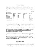 Biznesa plāns 'SIA "Puķu stūris" biznesa plāns', 9.