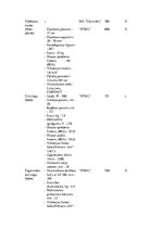 Biznesa plāns 'SIA "Puķu stūris" biznesa plāns', 11.