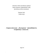 Referāts 'Uzņēmuma "Risipere" menedžmenta vispārēja analīze', 1.