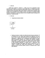 Referāts 'Uzņēmuma "Risipere" menedžmenta vispārēja analīze', 2.