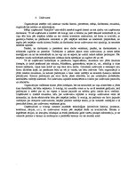 Referāts 'Uzņēmuma "Risipere" menedžmenta vispārēja analīze', 6.