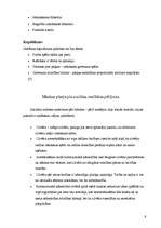 Referāts 'K.Marksa teorija par darbu', 9.