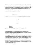 Referāts 'Interpersonālā komunikācija', 3.