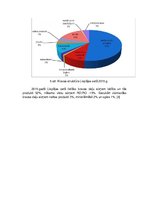 Referāts 'Ūdens transporta sistēma', 11.