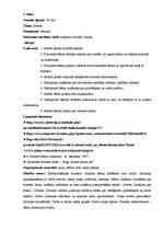 Prakses atskaite 'Kvalifikācijas darbs sākumskolā - 3.klase', 1.