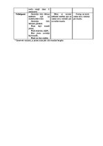 Prakses atskaite 'Kvalifikācijas darbs sākumskolā - 3.klase', 5.