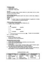 Konspekts 'Konfliktoloģija', 1.