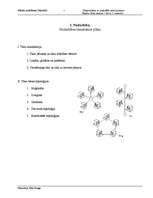 Referāts 'Tīklu topoloģijas', 1.