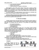 Referāts 'Tīklu topoloģijas', 5.