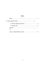 Referāts 'Stila kļūdas ikdienas runā', 2.