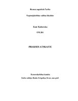 Prakses atskaite 'Labdarības biedrības Labdaris.lv mārketinga analīze', 1.