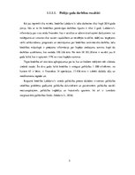 Prakses atskaite 'Labdarības biedrības Labdaris.lv mārketinga analīze', 5.