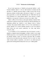 Prakses atskaite 'Labdarības biedrības Labdaris.lv mārketinga analīze', 11.