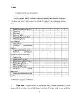 Prakses atskaite 'Labdarības biedrības Labdaris.lv mārketinga analīze', 15.