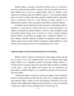 Prakses atskaite 'Labdarības biedrības Labdaris.lv mārketinga analīze', 18.