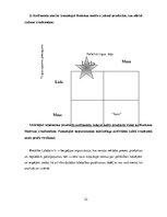 Prakses atskaite 'Labdarības biedrības Labdaris.lv mārketinga analīze', 22.