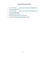 Prakses atskaite 'Labdarības biedrības Labdaris.lv mārketinga analīze', 29.