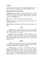 Konspekts 'Piekūni', 5.