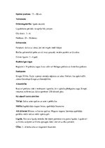 Konspekts 'Piekūni', 9.