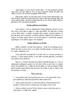 Konspekts 'Piekūni', 11.