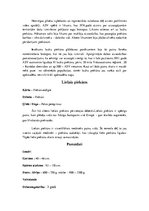 Konspekts 'Piekūni', 15.